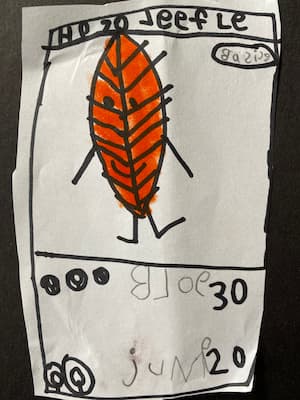 Fan-made Pokemon card: Leefle